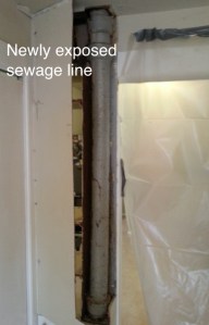 sewage line